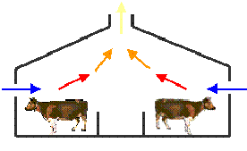 Calf housing