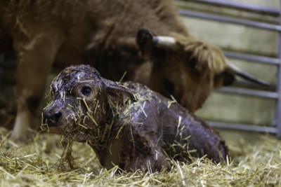 Nutrition for Health