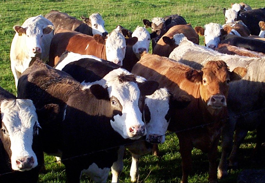 Maximising the benefit of vaccination